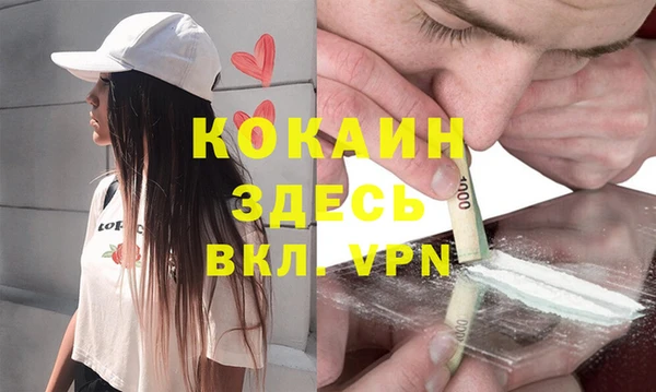 дживик Абаза