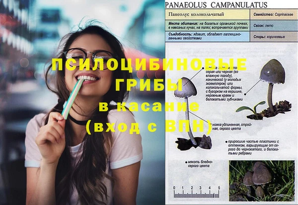 дживик Абаза